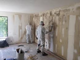 Best Asbestos and Lead Testing During Mold Inspection in De Leon, TX